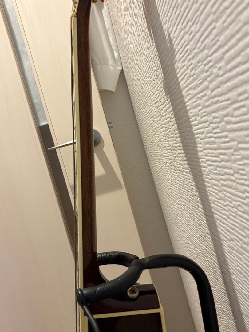 Takamine アコースティックギター DMP50s