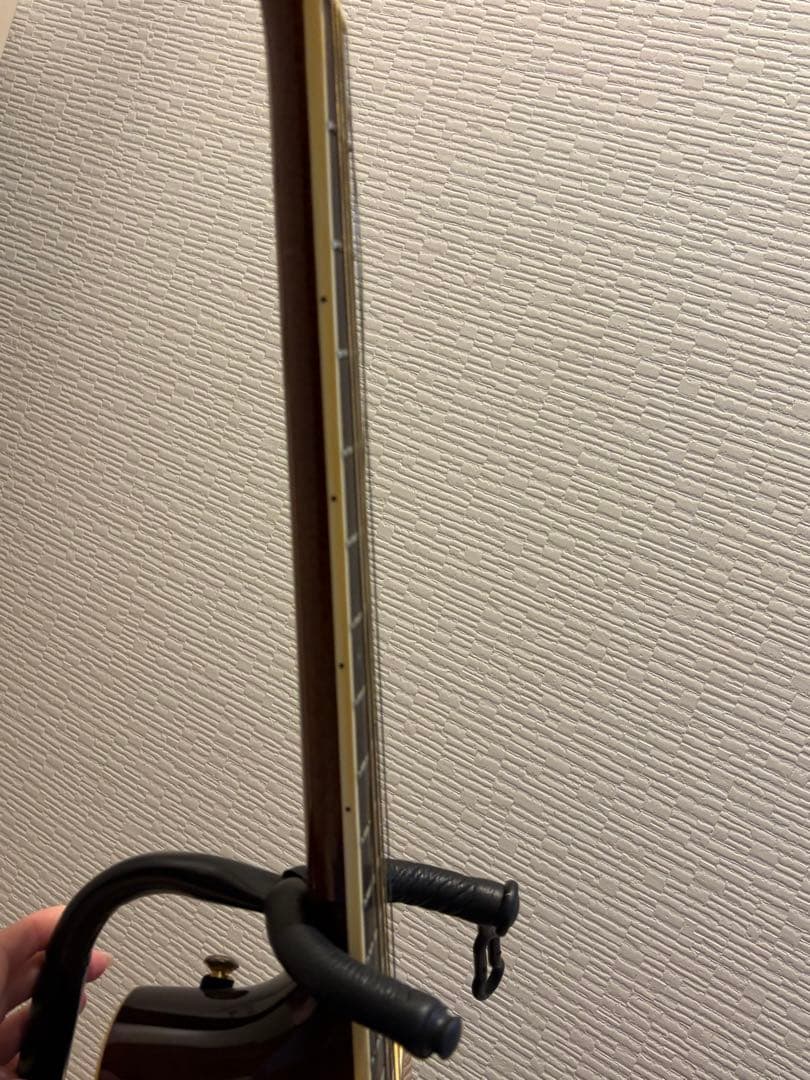 Takamine アコースティックギター DMP50s