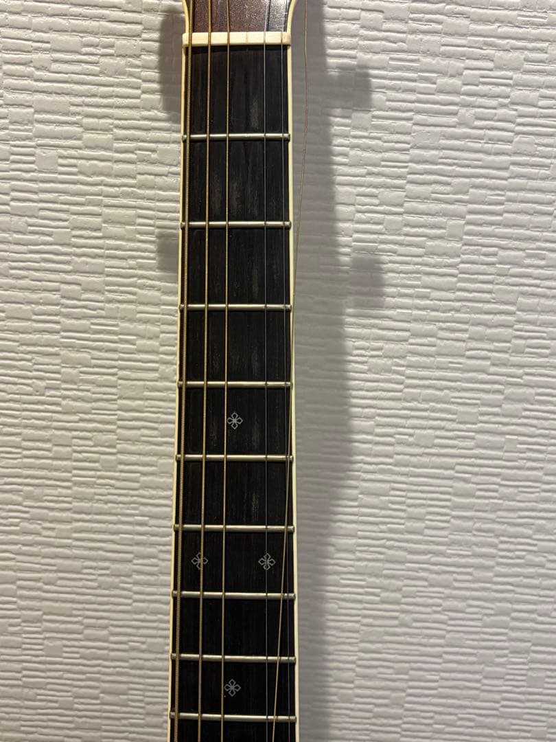 Takamine アコースティックギター DMP50s