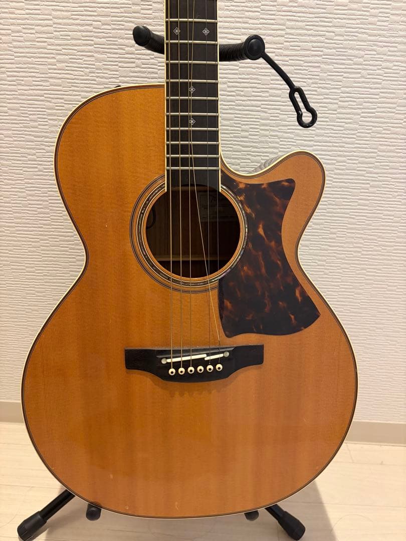Takamine アコースティックギター DMP50s