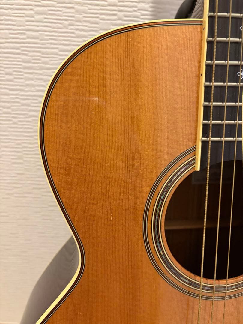 Takamine アコースティックギター DMP50s