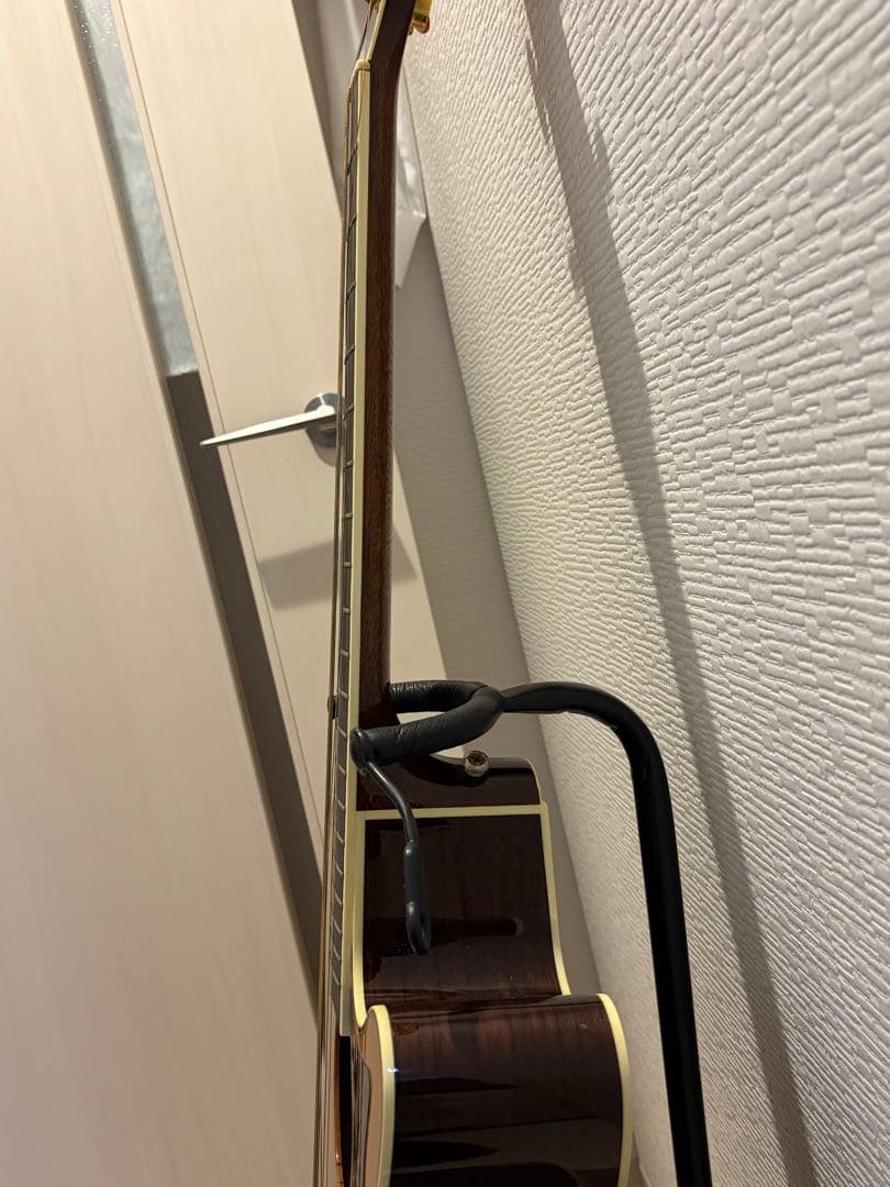 Takamine アコースティックギター DMP50s