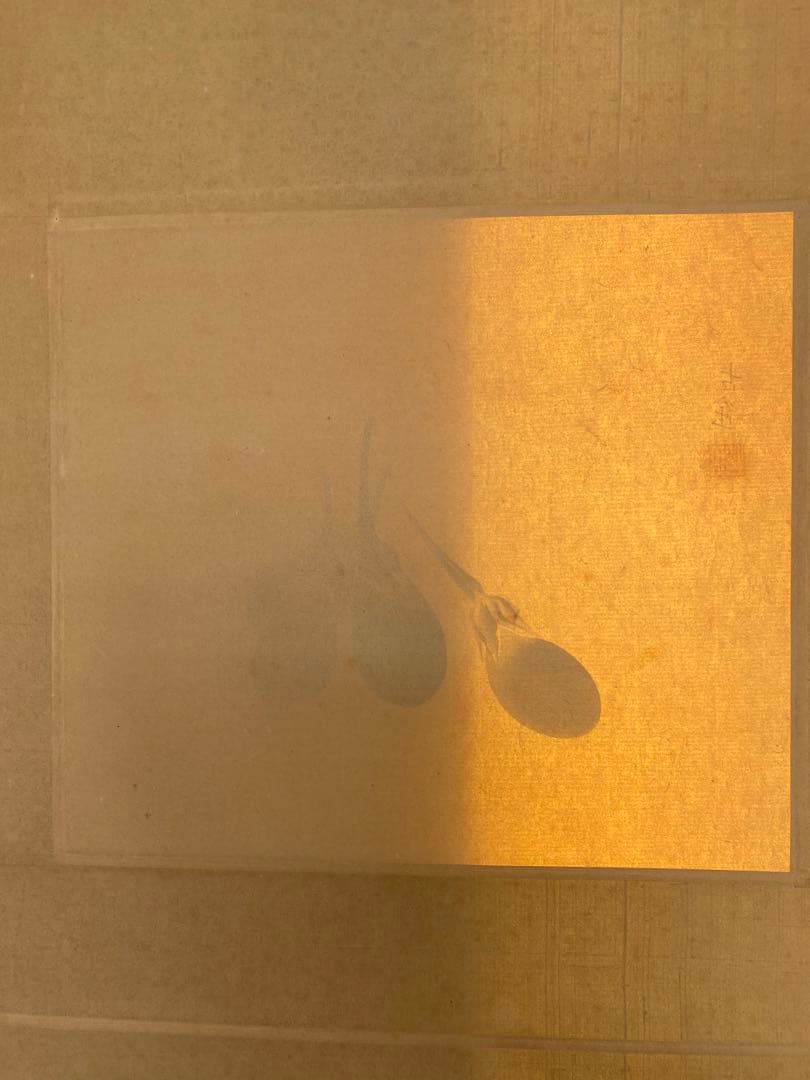 工芸画　小林古径　古径　茄子之図　ナス図　茄子図 水墨画 植物