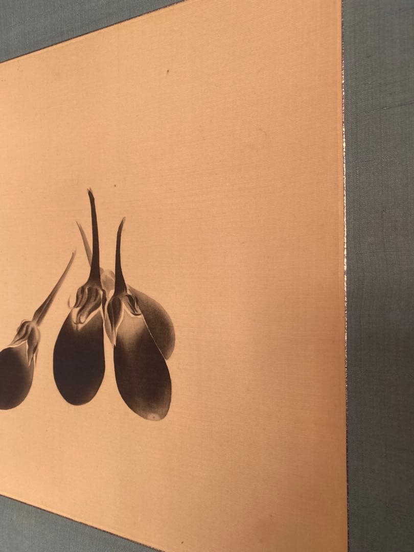 工芸画　小林古径　古径　茄子之図　ナス図　茄子図 水墨画 植物