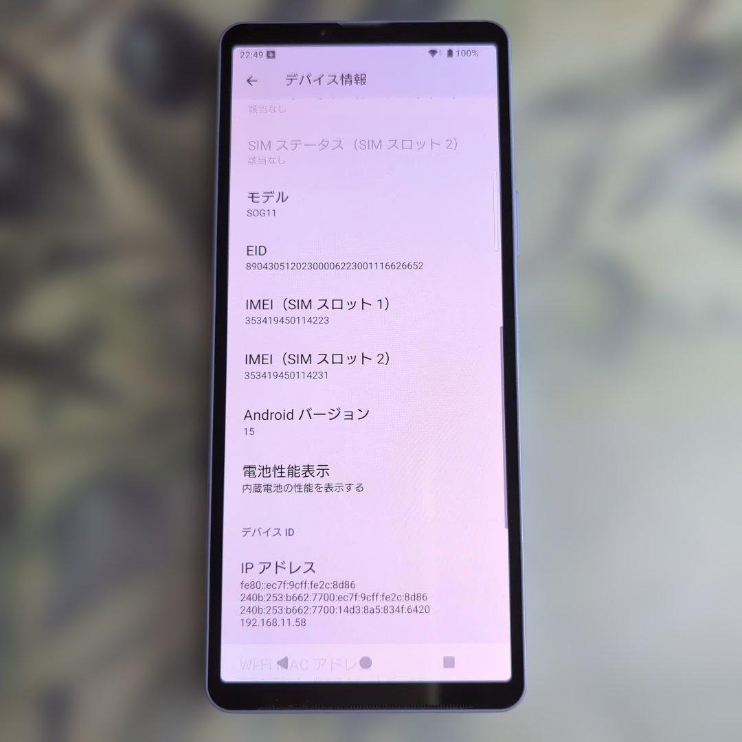 Xperia 10 V ディスプレイ焼けあり