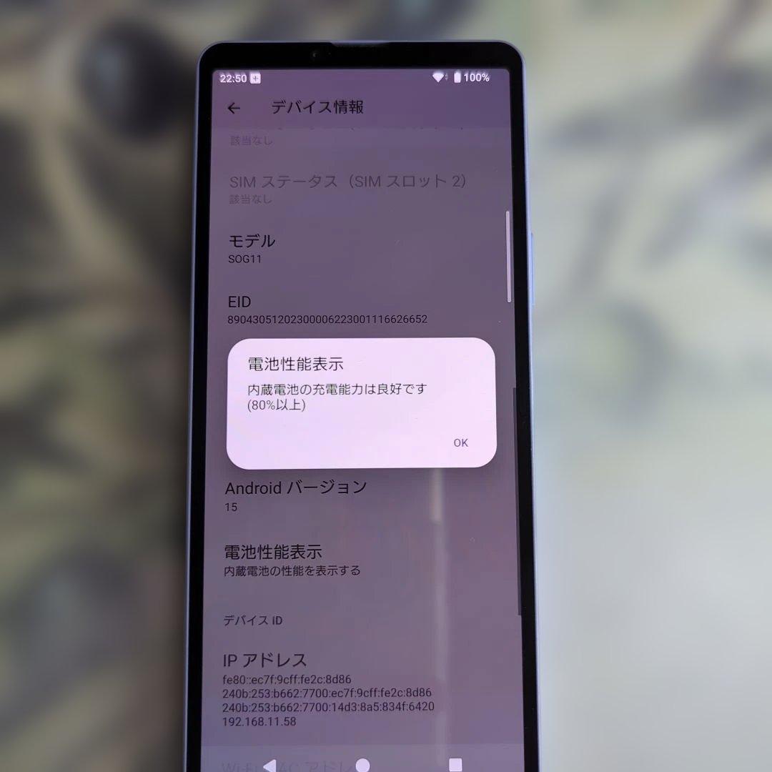 Xperia 10 V ディスプレイ焼けあり