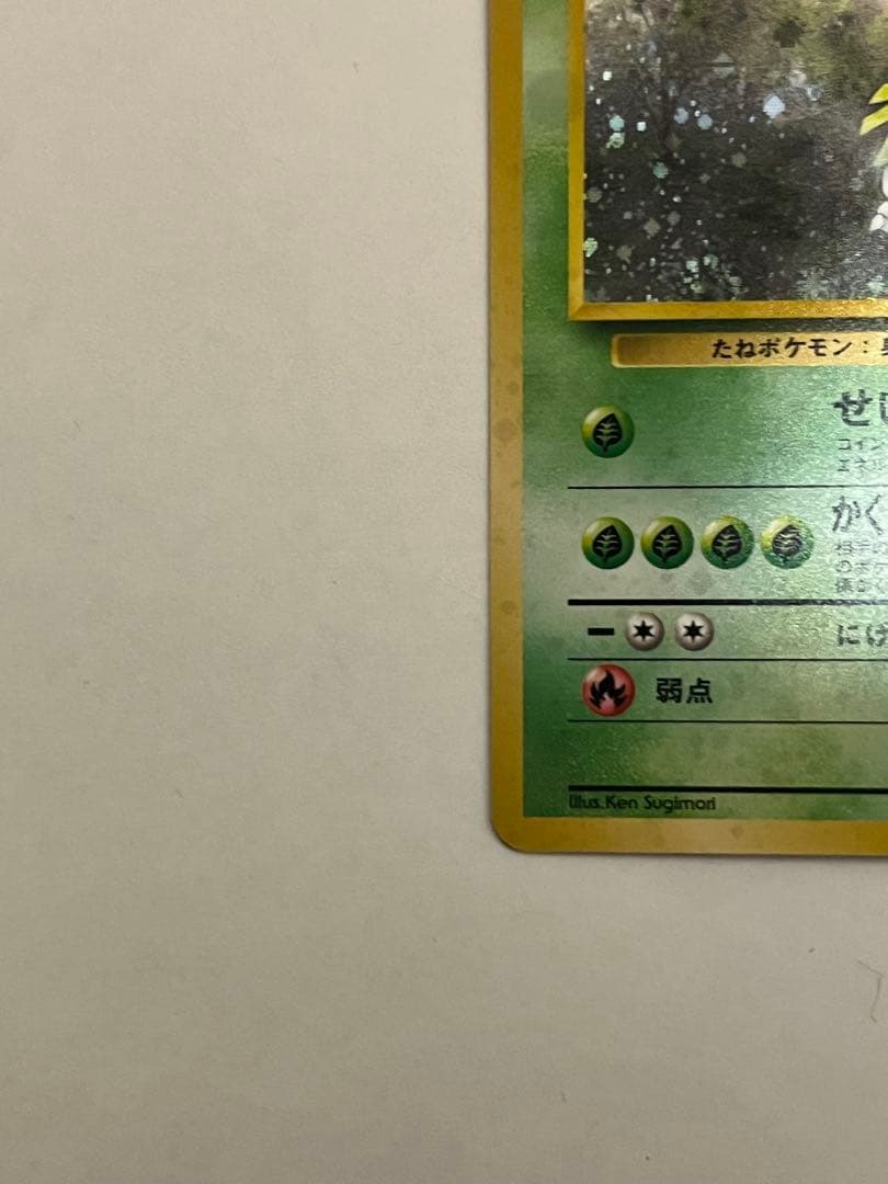 エリカのフシギバナ ★ ジム拡張第2弾 闇からの挑戦