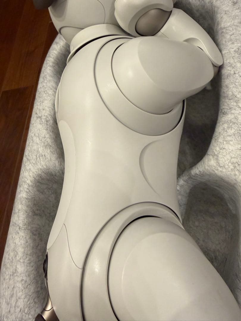 最終値下★ソニー aibo 本体 アイボリーホワイト ERS-1000 アイボ