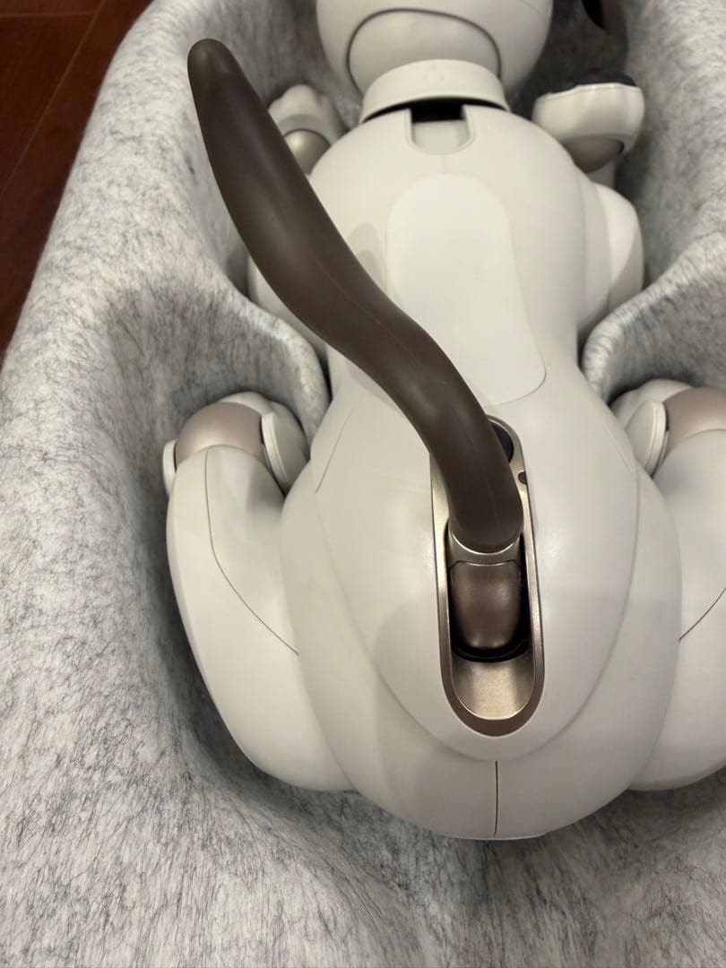 最終値下★ソニー aibo 本体 アイボリーホワイト ERS-1000 アイボ