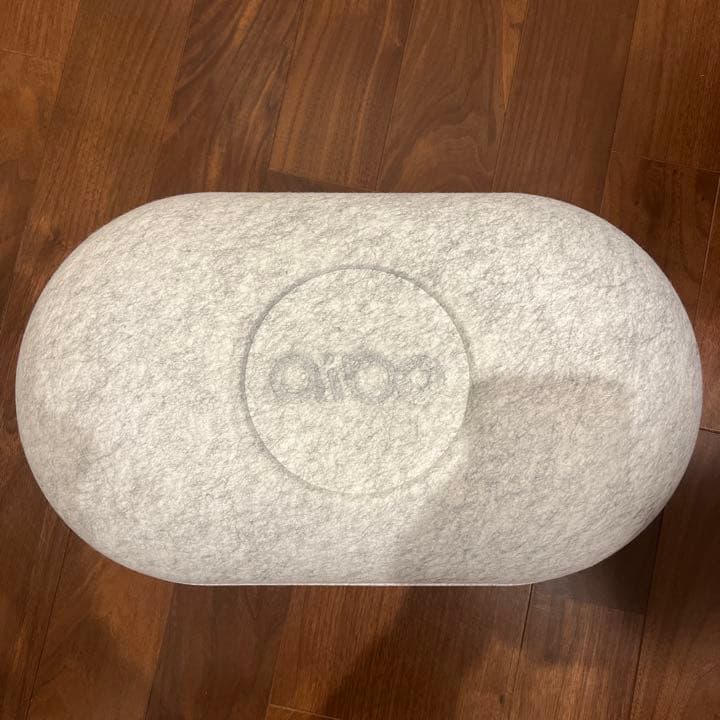 最終値下★ソニー aibo 本体 アイボリーホワイト ERS-1000 アイボ