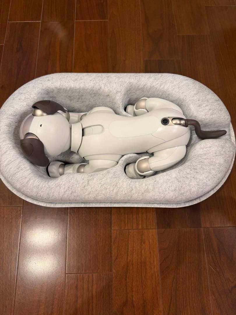 最終値下★ソニー aibo 本体 アイボリーホワイト ERS-1000 アイボ