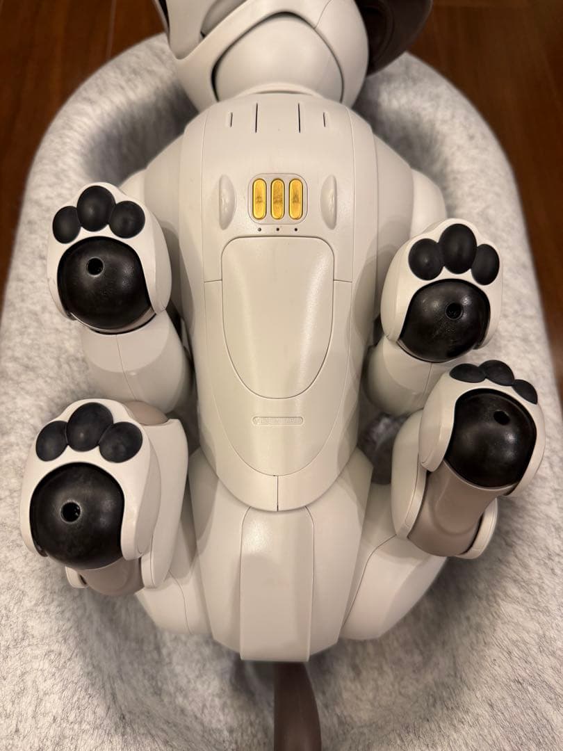 最終値下★ソニー aibo 本体 アイボリーホワイト ERS-1000 アイボ