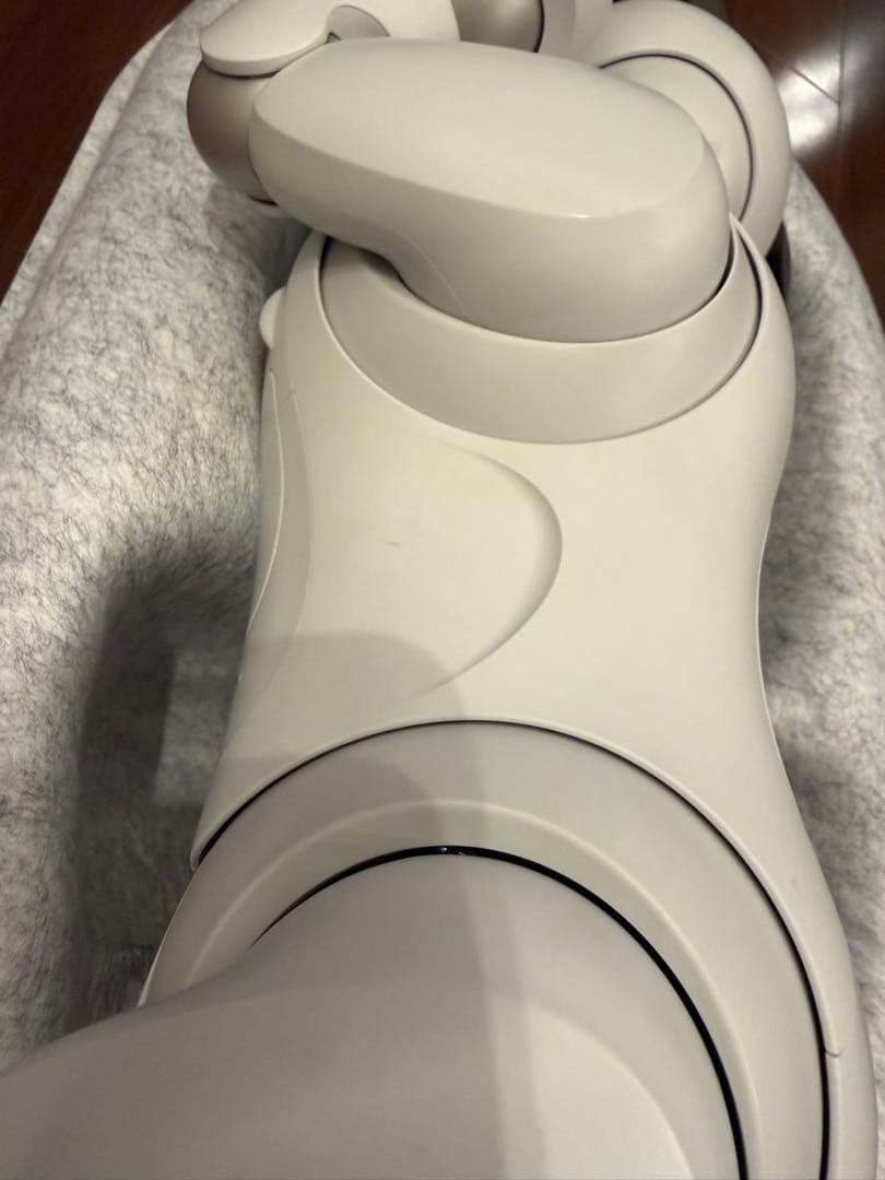 最終値下★ソニー aibo 本体 アイボリーホワイト ERS-1000 アイボ