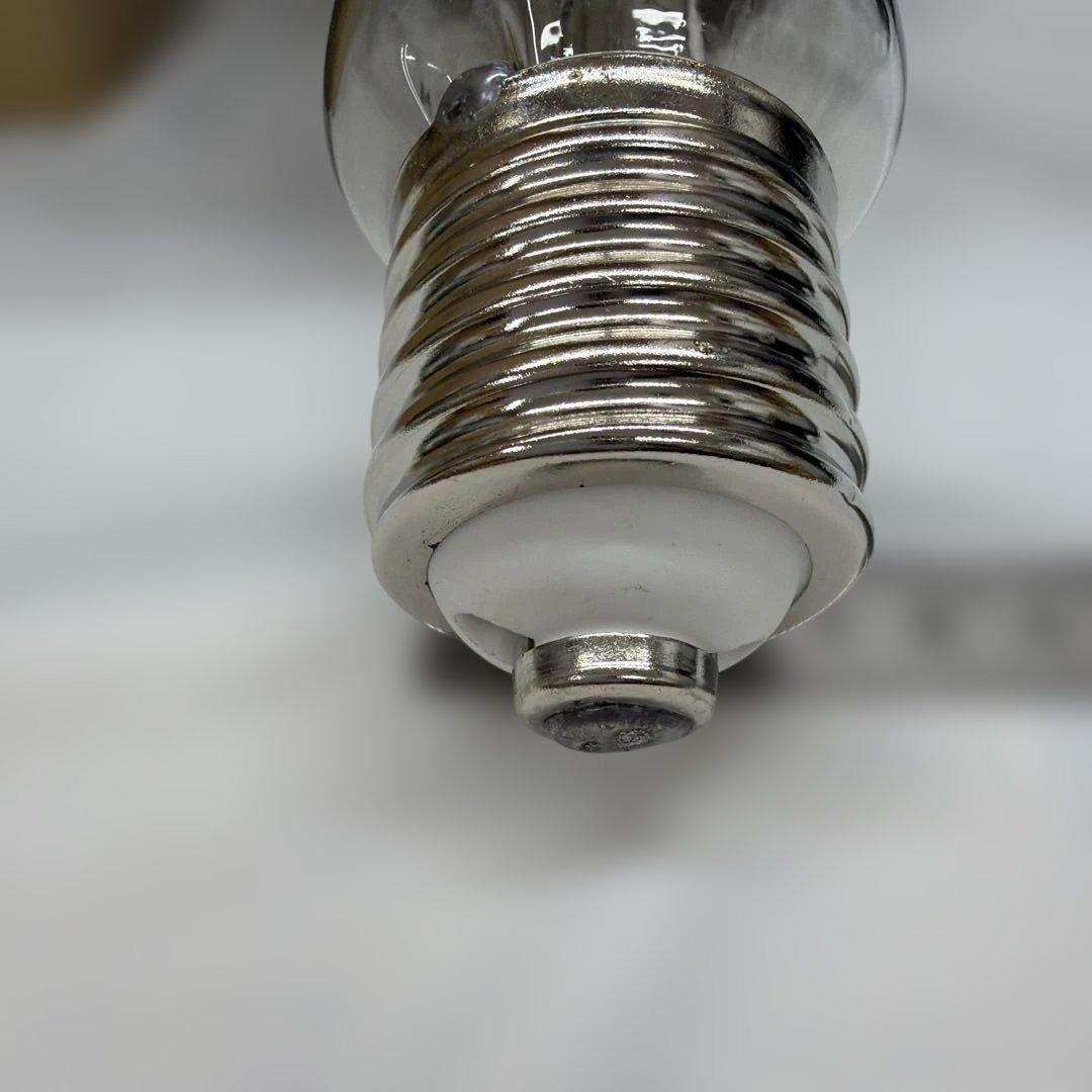 HAKUYO RF110V 1000W 白熱電球 屋外用