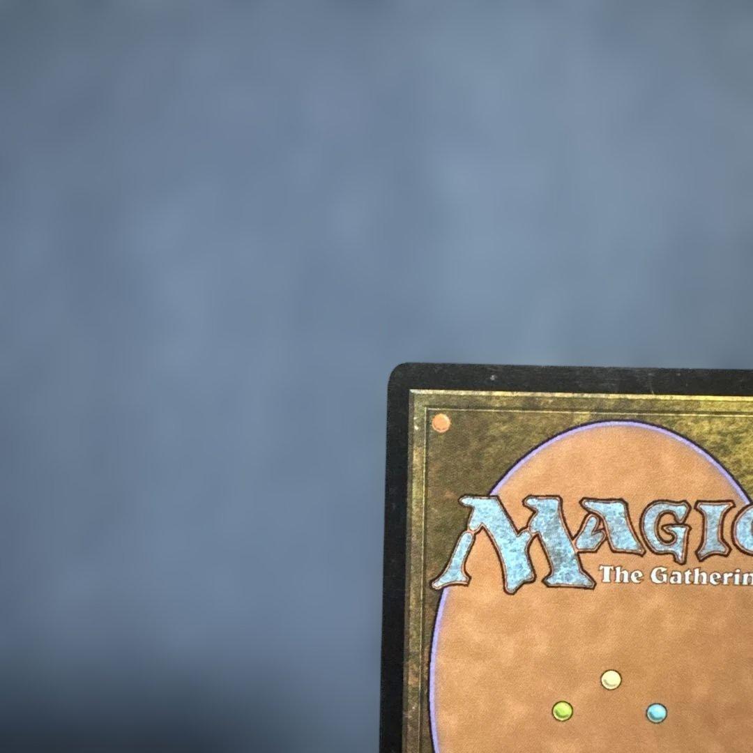 MTG 腐れ肺の再生術師　英語版３枚セット