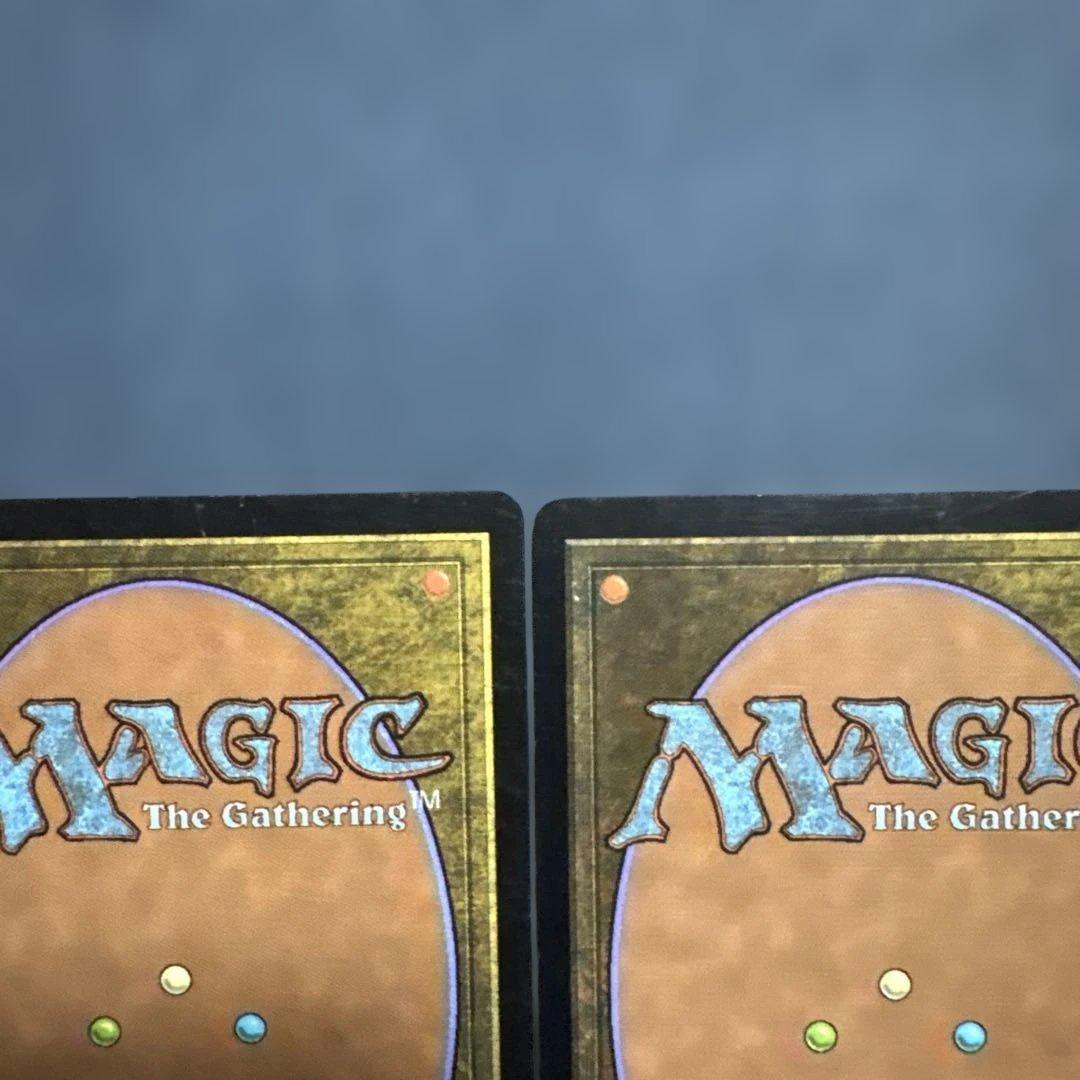 MTG 腐れ肺の再生術師　英語版３枚セット