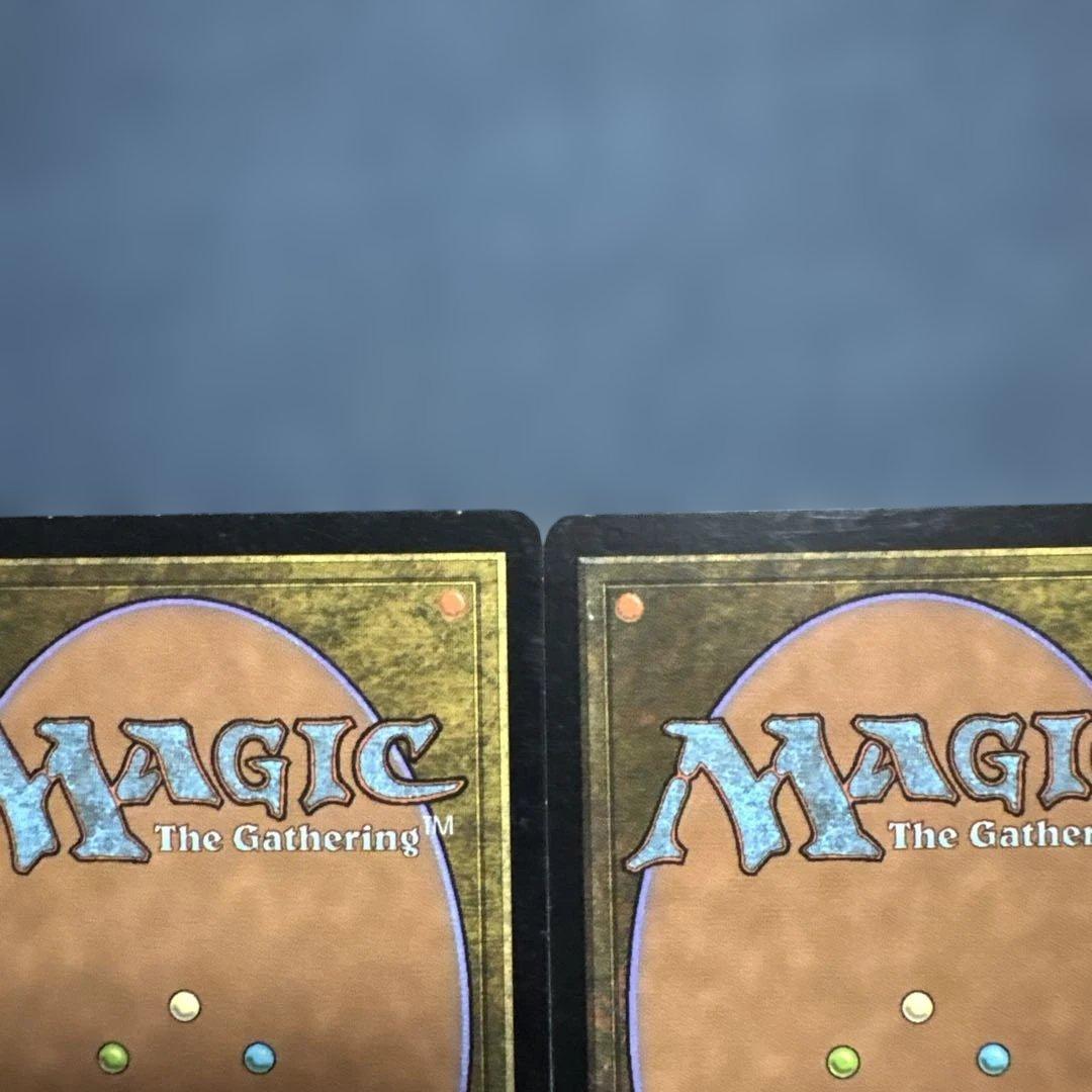 MTG 腐れ肺の再生術師　英語版３枚セット