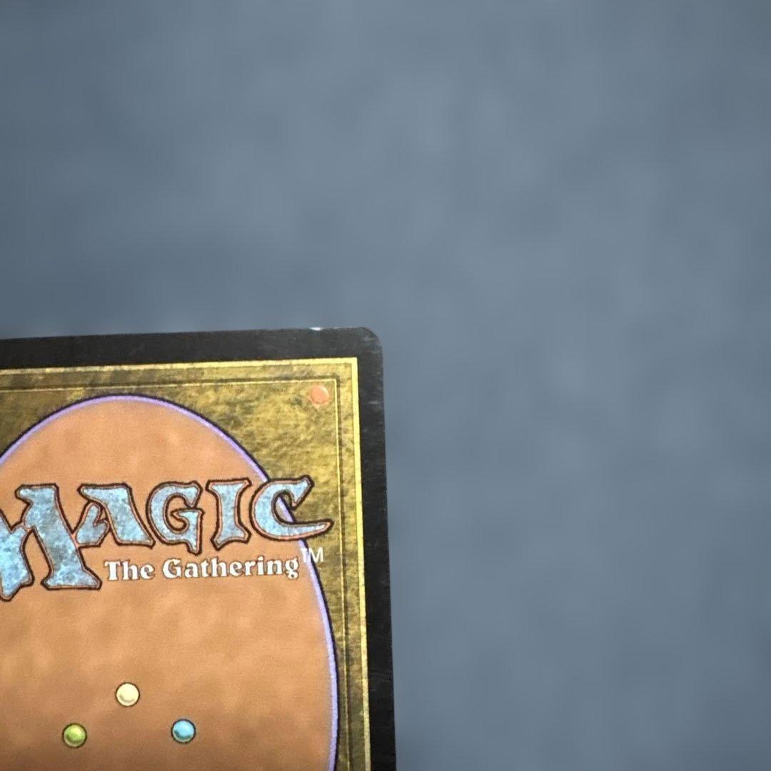 MTG 腐れ肺の再生術師　英語版３枚セット