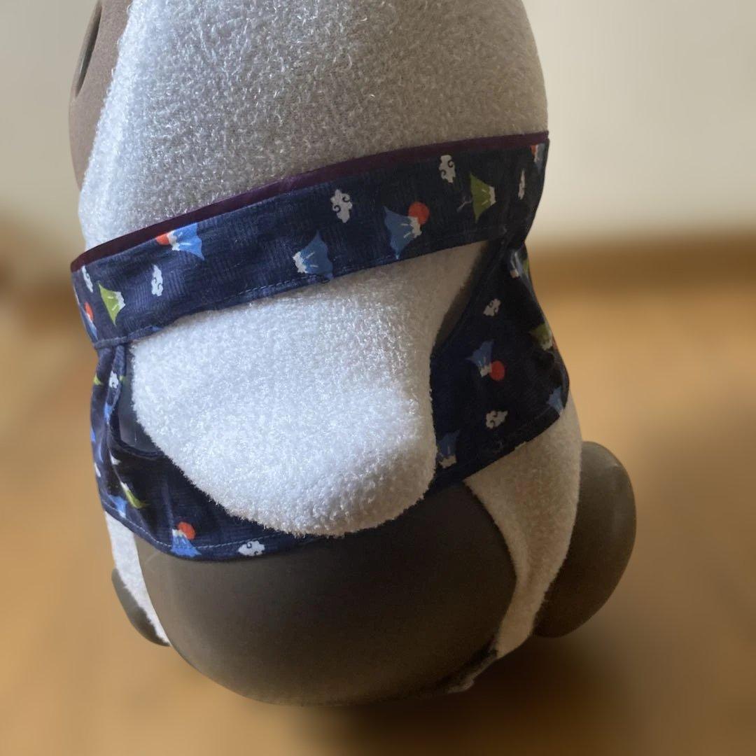 ラボット　服　lovot 薄紫　羽織　黒えんじ系ストライプ袴　富士山紺色いんなー