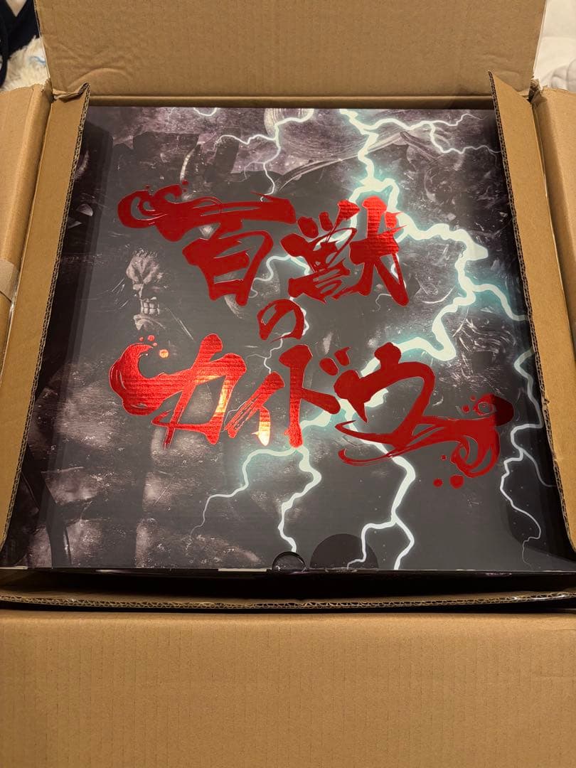 超限定復刻版 カイドウ POP-MAXIMUM