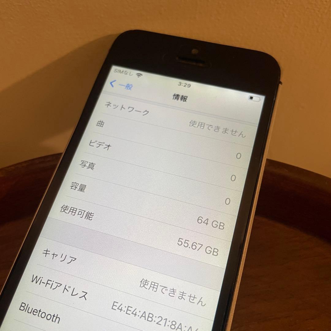 Apple iPhone SE 初代　SIMフリー　64GB