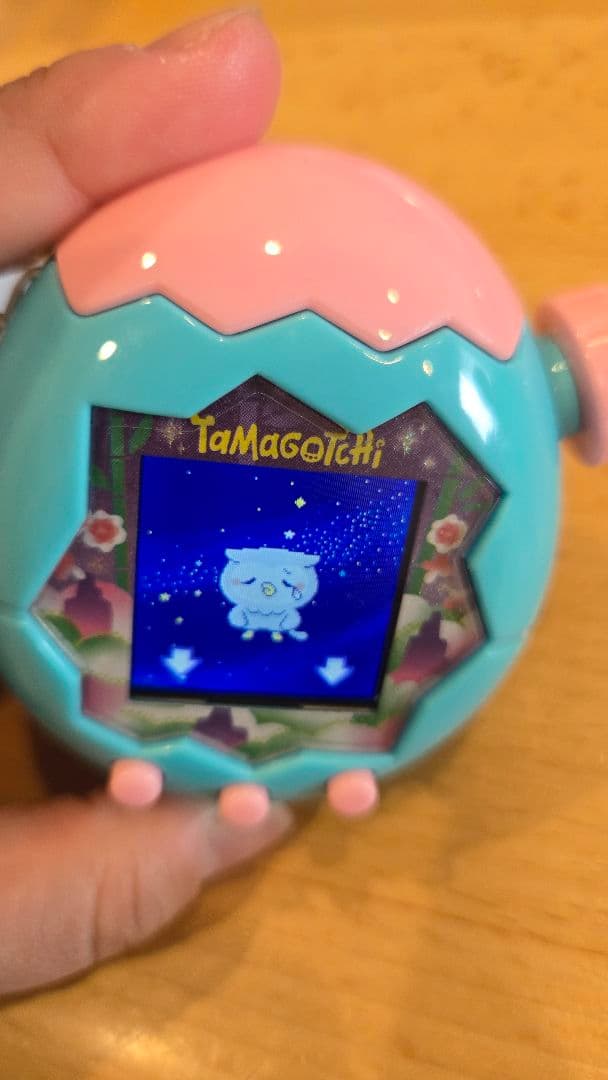 たまごっちパラダイス カバー付き