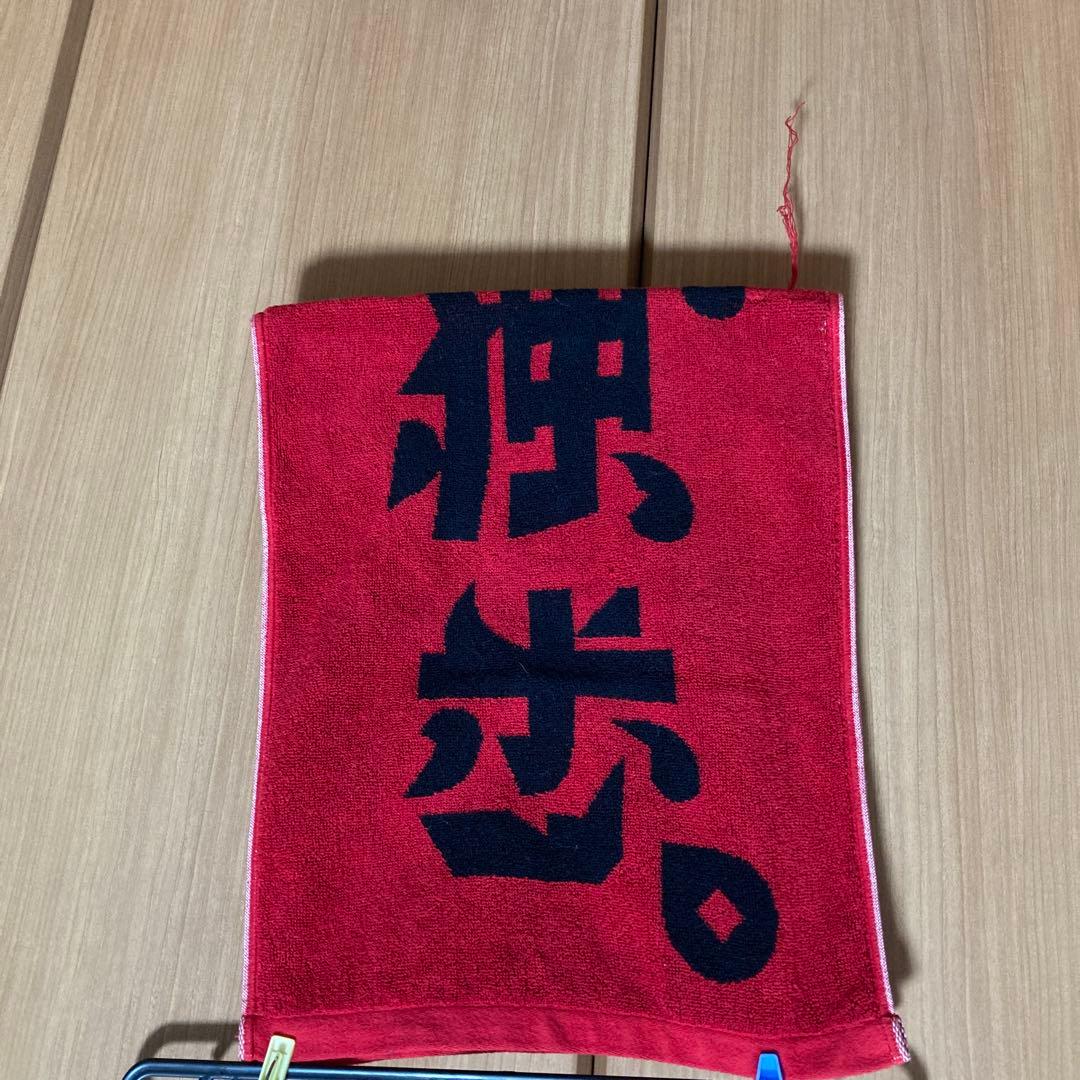 エレファントカシマシ 宮本浩次　TシャツLサイズ　タオル　バンダナ　まとめ売り