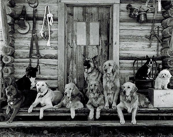 特別価格！額装品/ブルースウェーバー/The Gang At Little