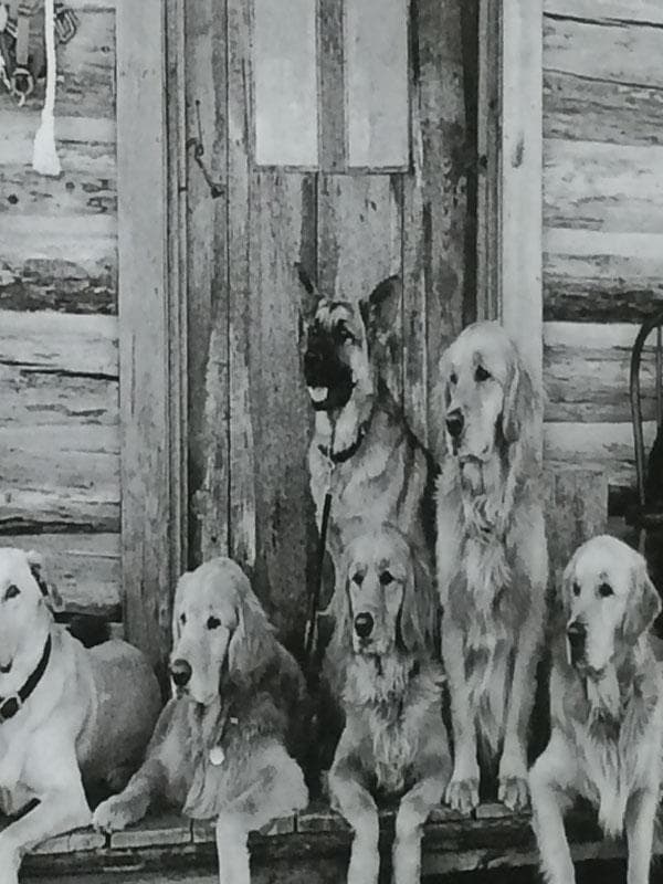 特別価格！額装品/ブルースウェーバー/The Gang At Little