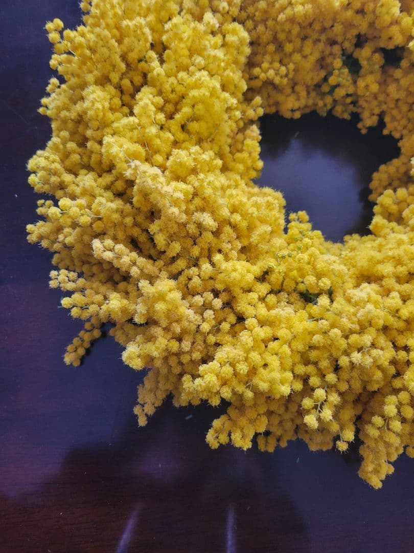 ゆらら フレッシュミモザリース