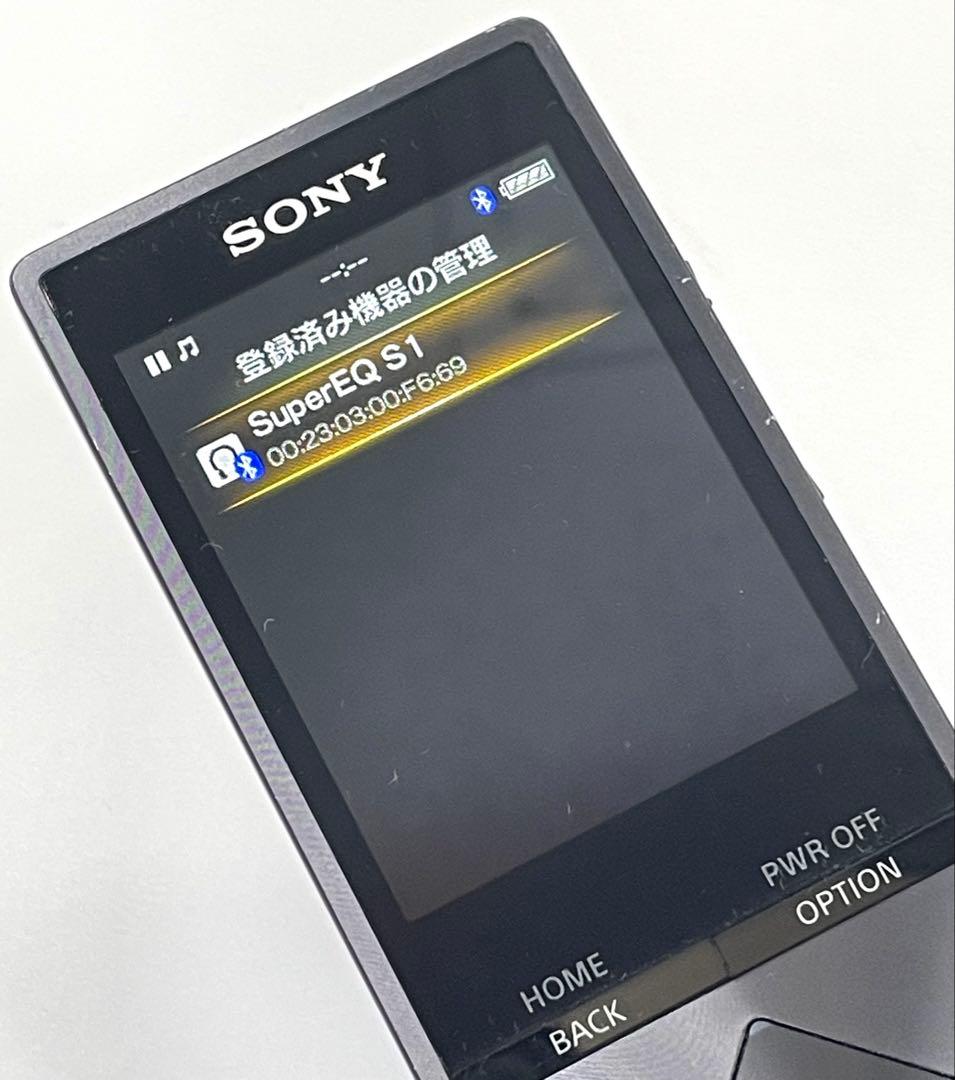外観美品　バッテリー良好　SONY WALKMAN NW-A25 16GB