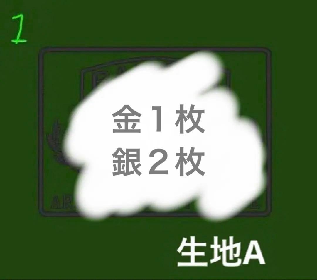 オリジナル生地A ベルクロタイプ