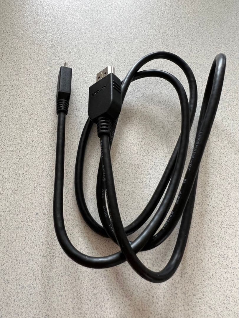 SONY ハンディカム HDR-CX670