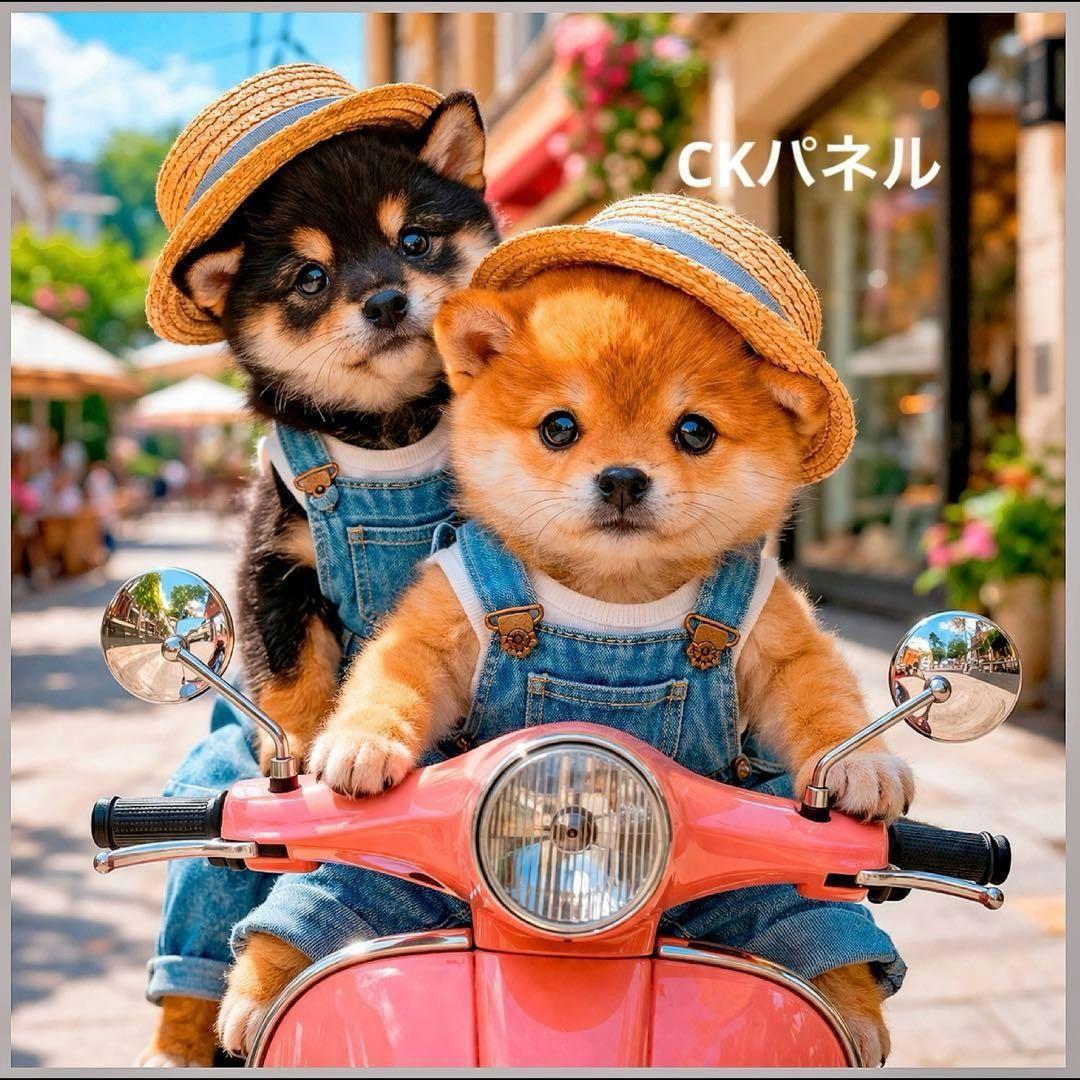 激レアチワワ、パグ、柴犬、ポメラニアン、トイプー、シーズパネル生地　ハンドメイド