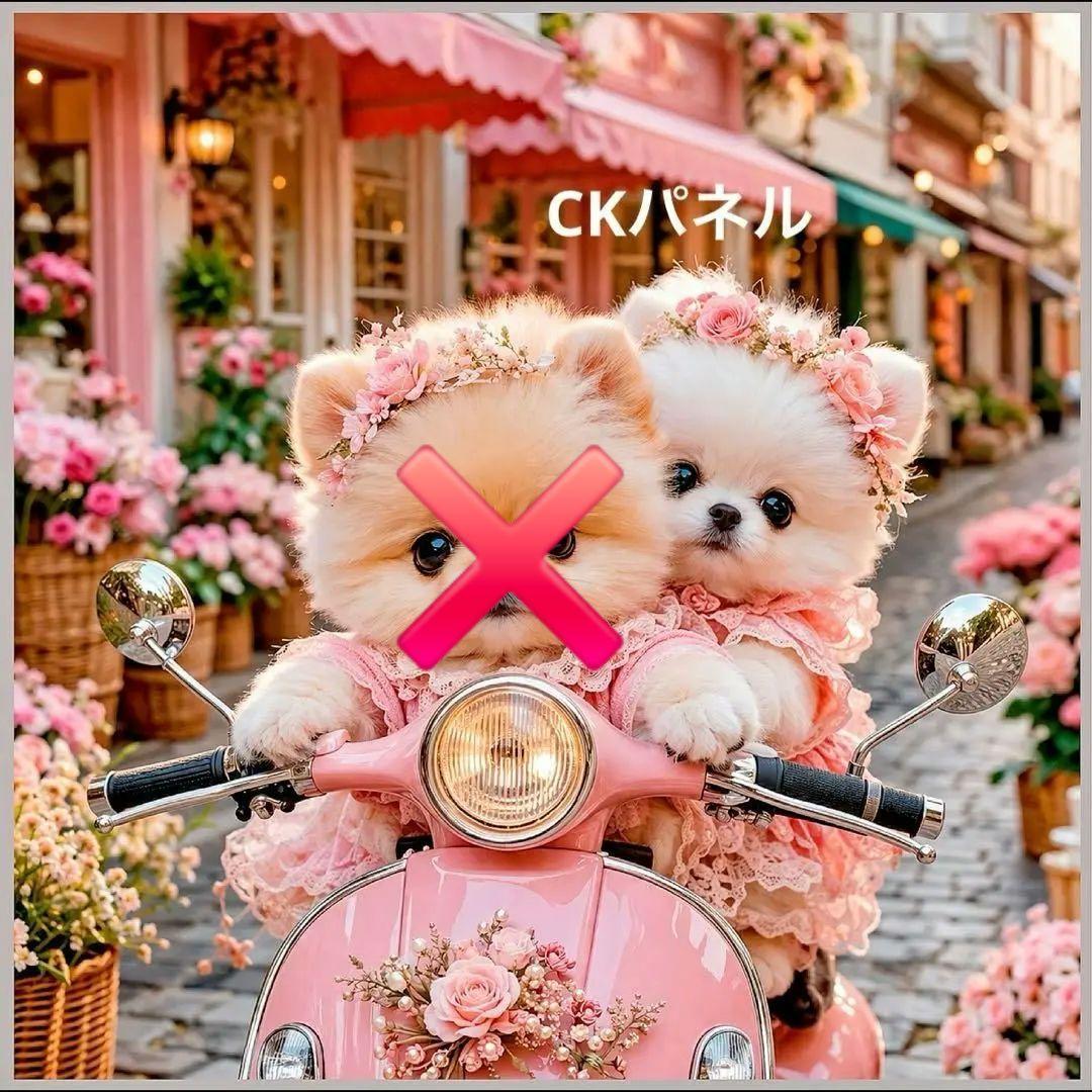 激レアチワワ、パグ、柴犬、ポメラニアン、トイプー、シーズパネル生地　ハンドメイド