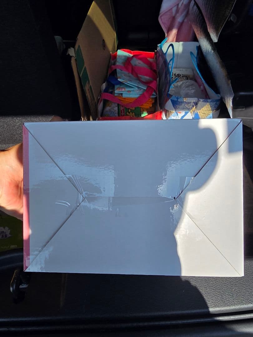 ワンピース MASTERLISE E賞は中身の確認の為開封だけしています。