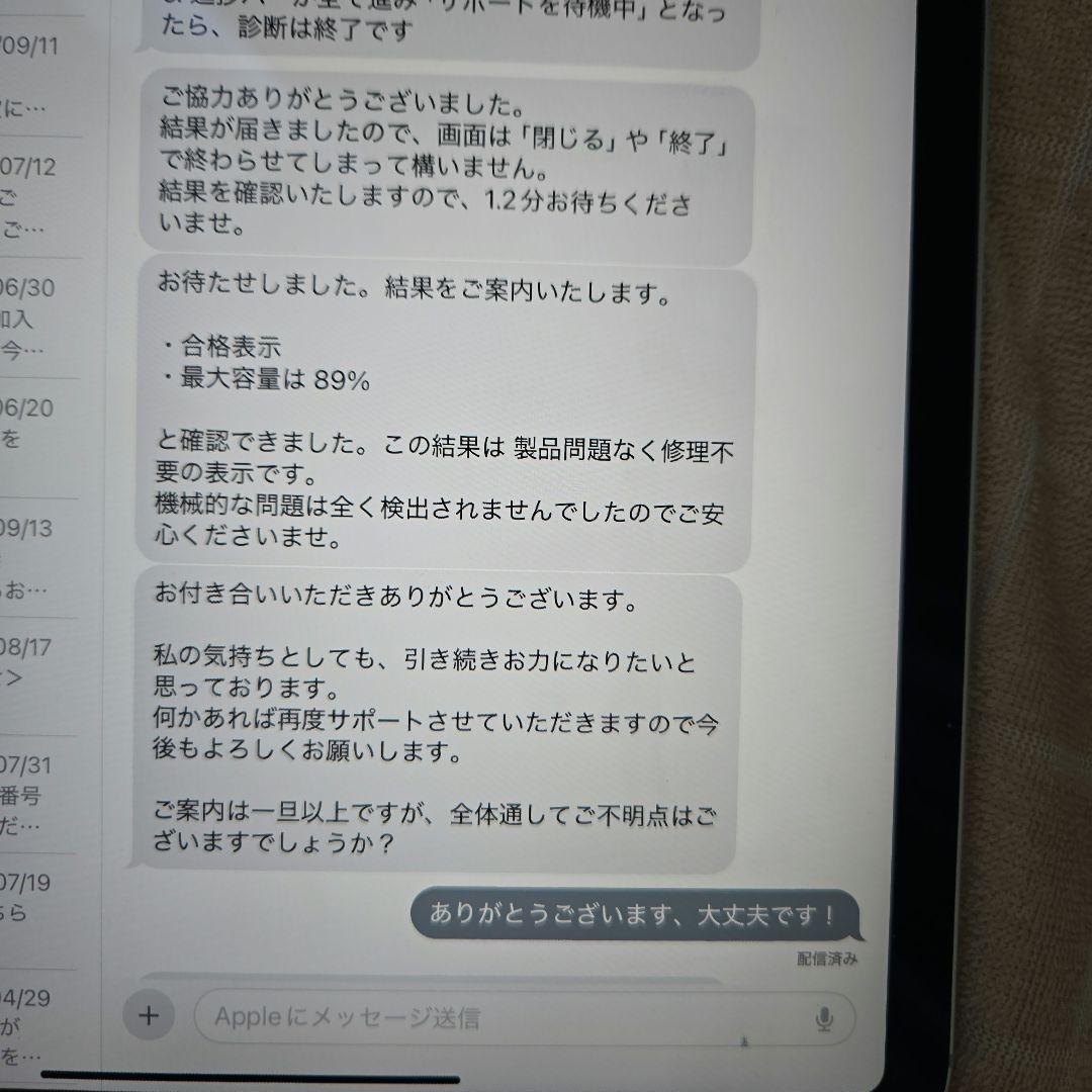 Apple iPad pro 11 第３世代 Cellular 128gb