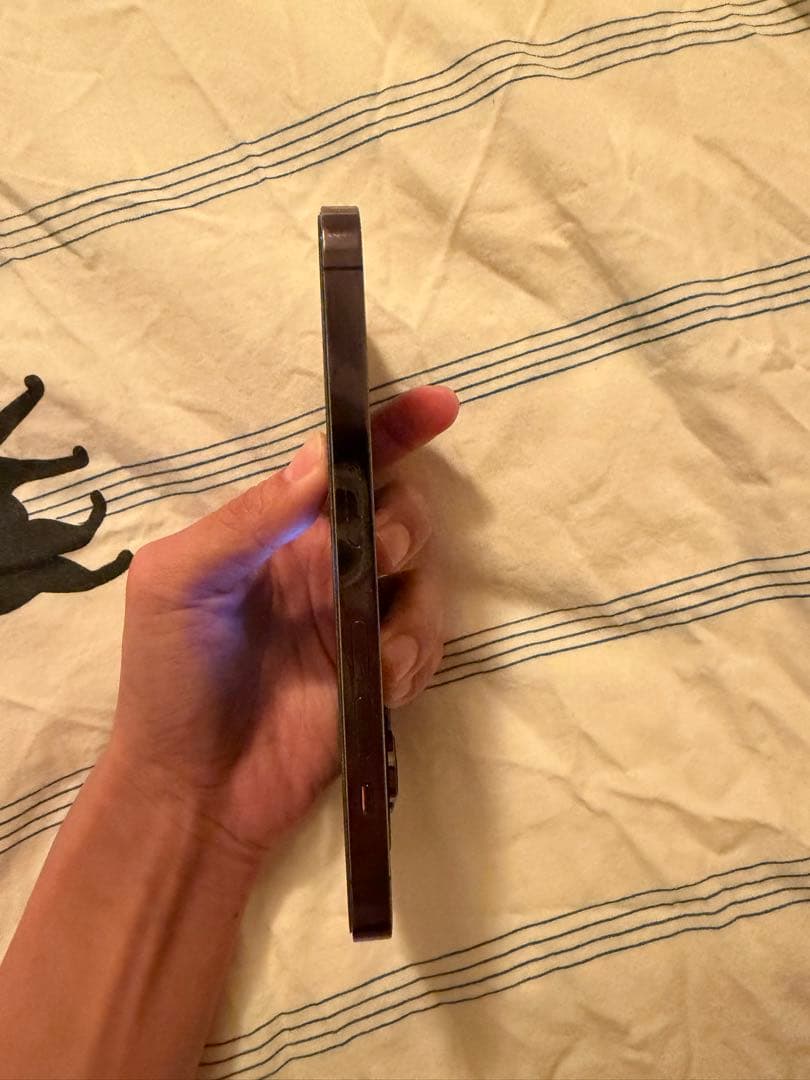 Apple iPhone 14 Pro 本体
