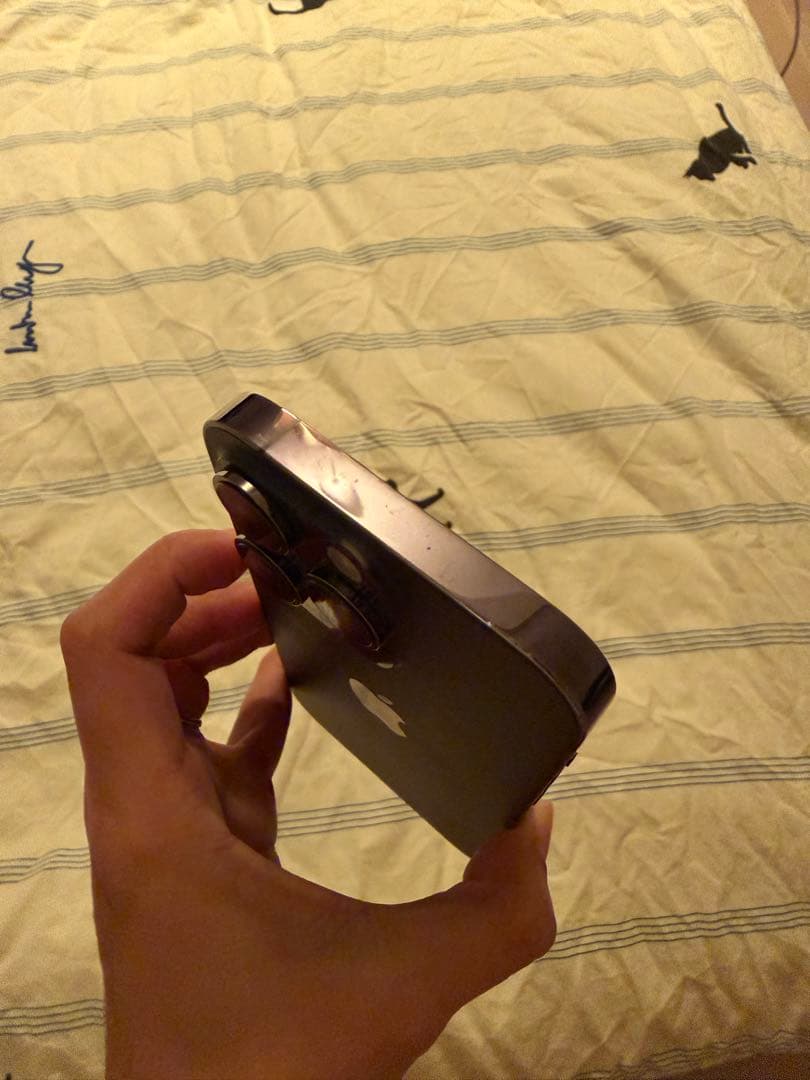 Apple iPhone 14 Pro 本体