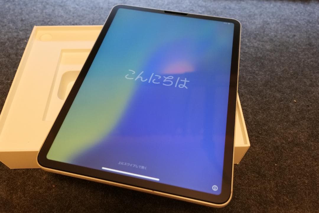 iPad pro 11インチ 第1世代 256gb + オマケ