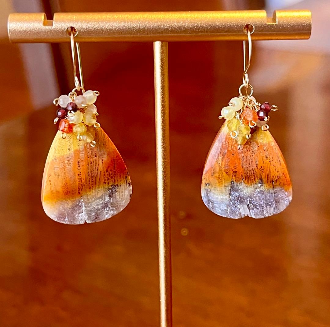 特価14kgfフォッシルコーラルのピアスです