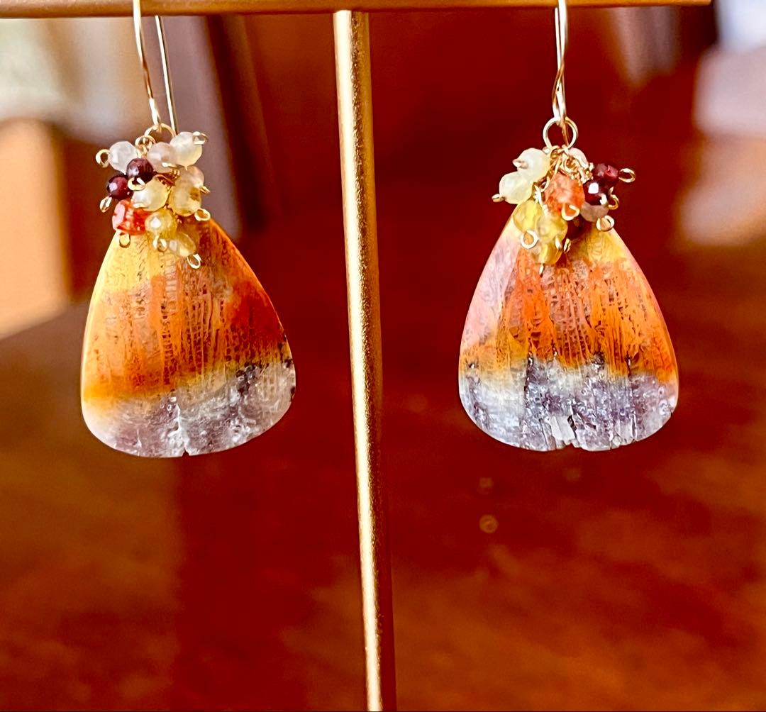 特価14kgfフォッシルコーラルのピアスです