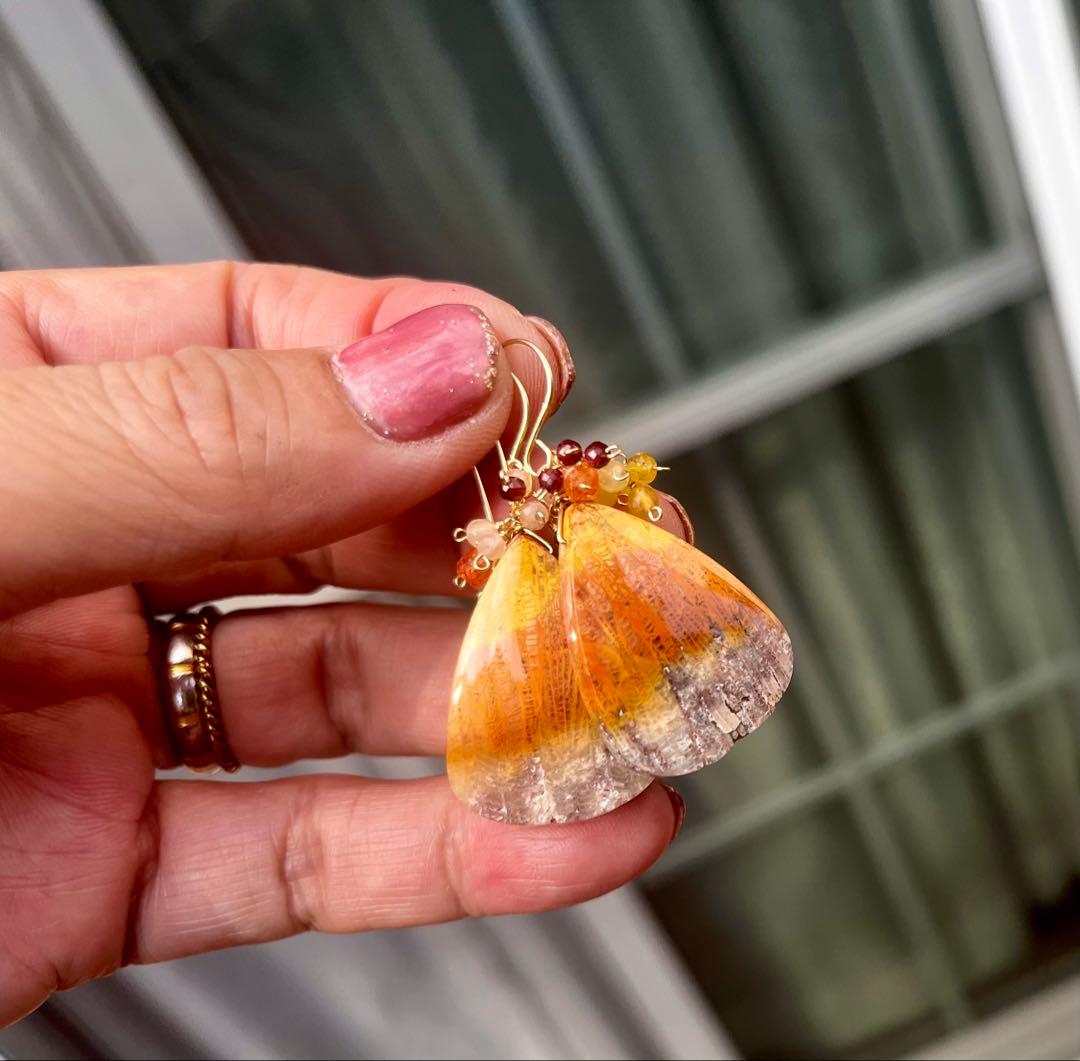 特価14kgfフォッシルコーラルのピアスです