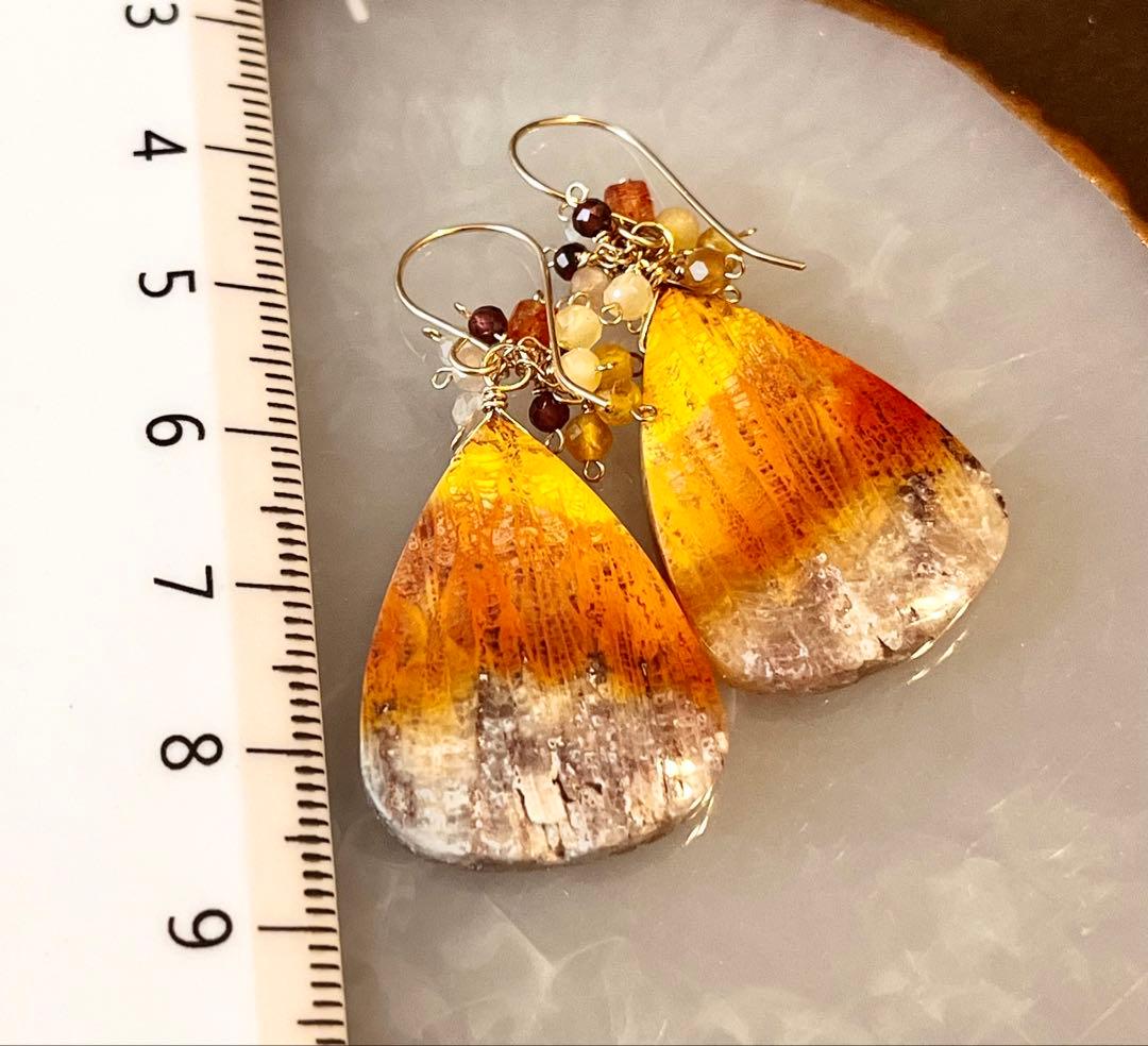 特価14kgfフォッシルコーラルのピアスです