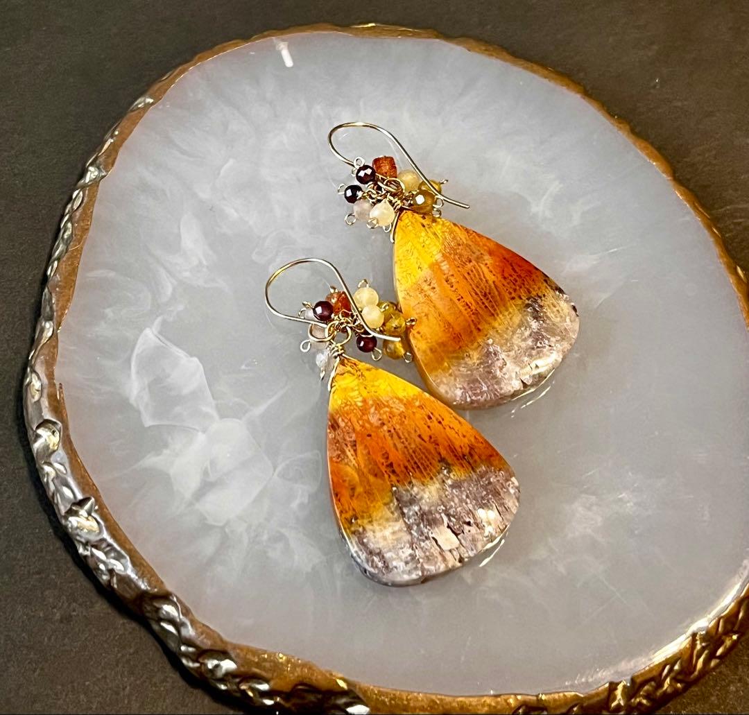 特価14kgfフォッシルコーラルのピアスです