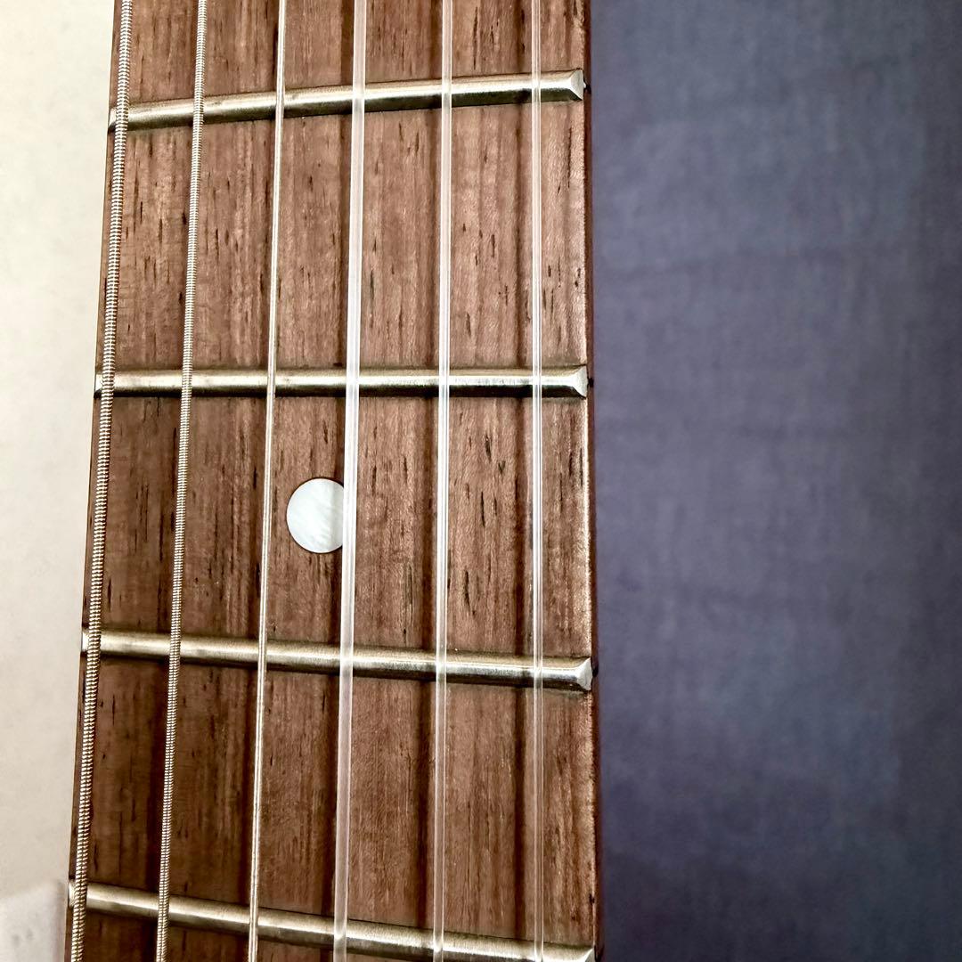 ESP BambooInn CHAR氏プロデュース　ガット弦タイプ