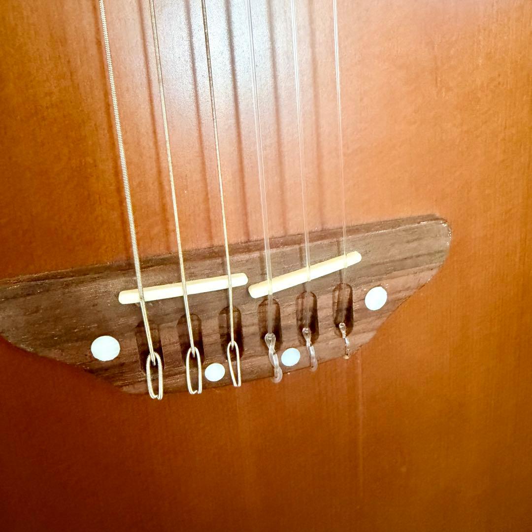 ESP BambooInn CHAR氏プロデュース　ガット弦タイプ