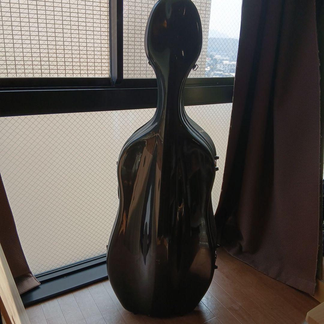 Eastman チェロ用ハードケース　約3.5kg