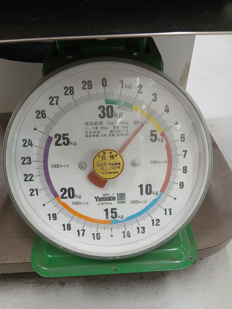 Eastman チェロ用ハードケース　約3.5kg