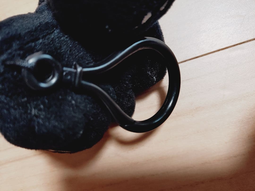 fragment THUNDERBOLT PROJECT フシギダネ